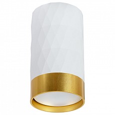 Накладной светильник arte lamp fang...
